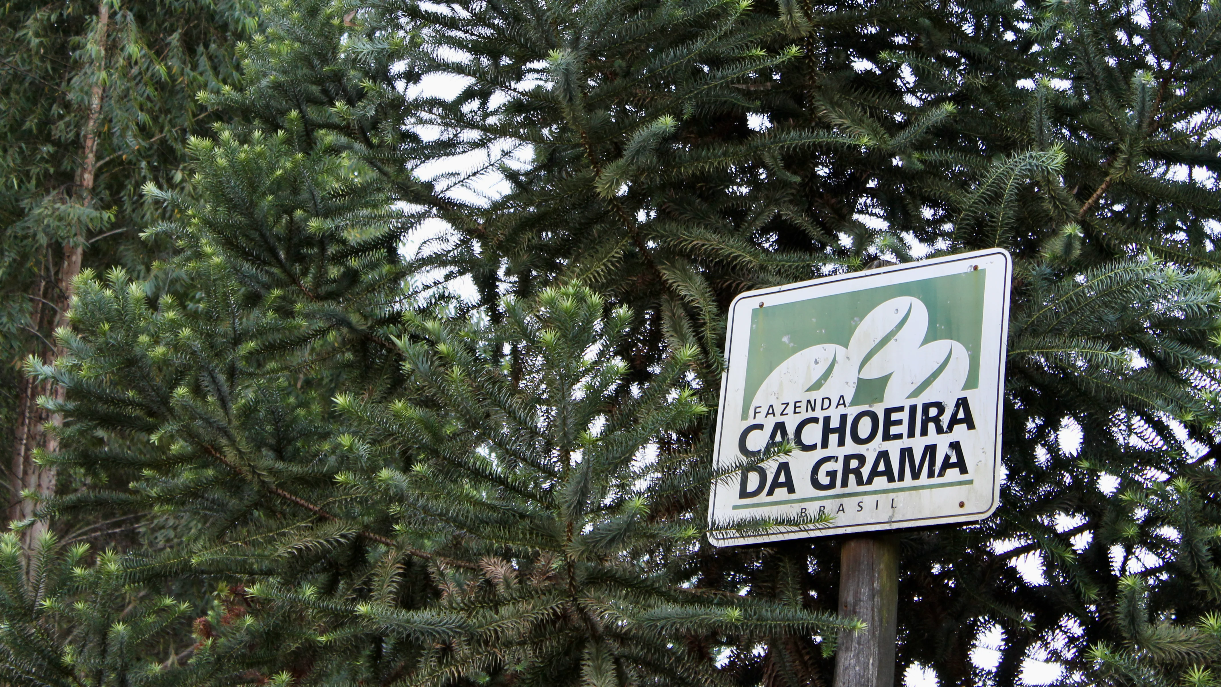 Exceptional Coffee From Farm To Cup